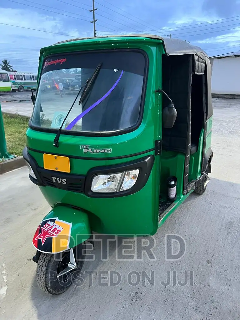 TVS Zeppelin 220 2023 Green