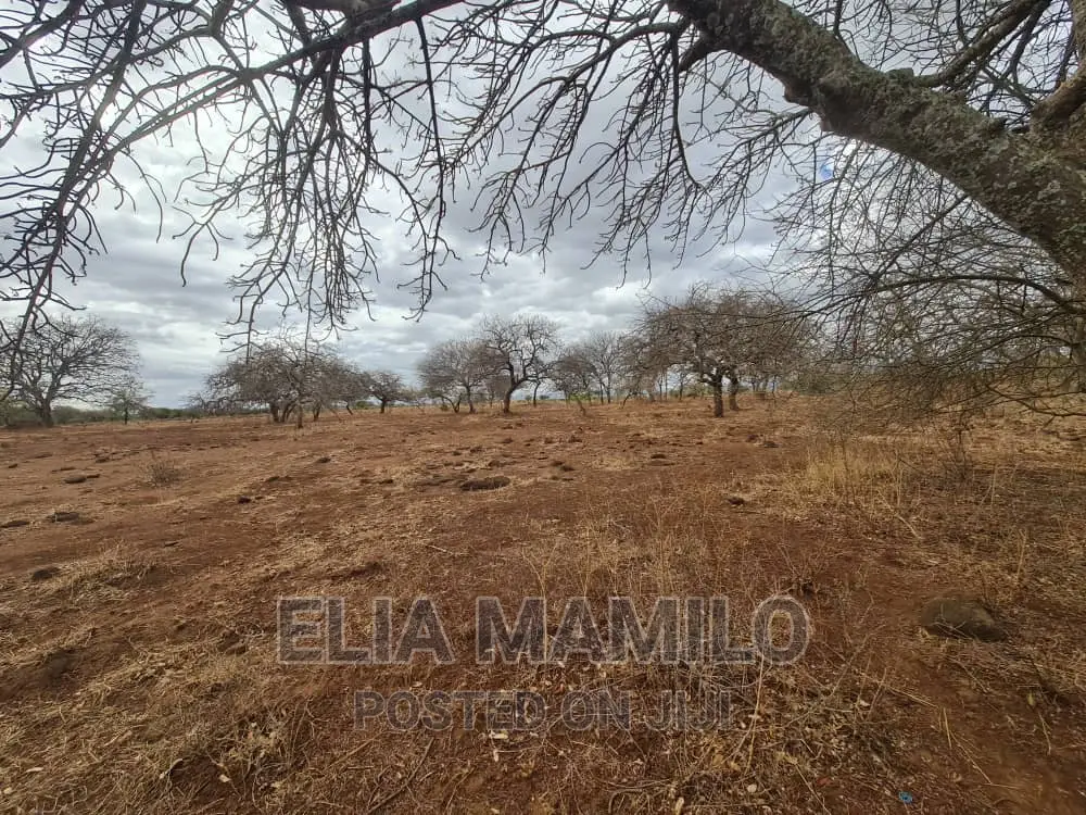 Tourist Land for Sale in Manyara