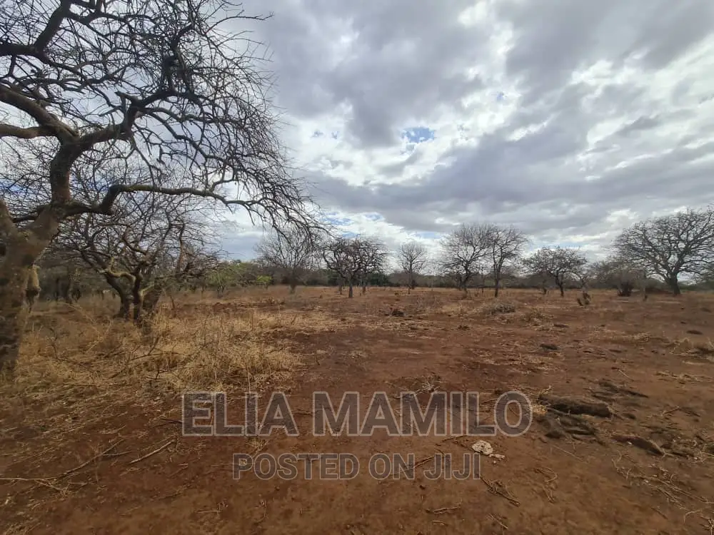 Tourist Land for Sale in Manyara