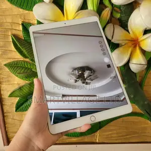 Apple iPad Air 64 GB Silver