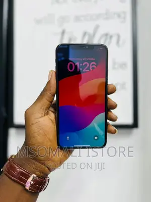 Apple iPhone 11 Pro Max 256 GB Silver