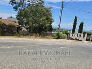 Plot for Sale Salasala.#.