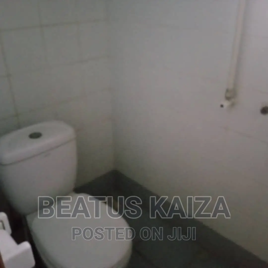 2bdrm Block of Flats in Kariakoo Gerezani for rent