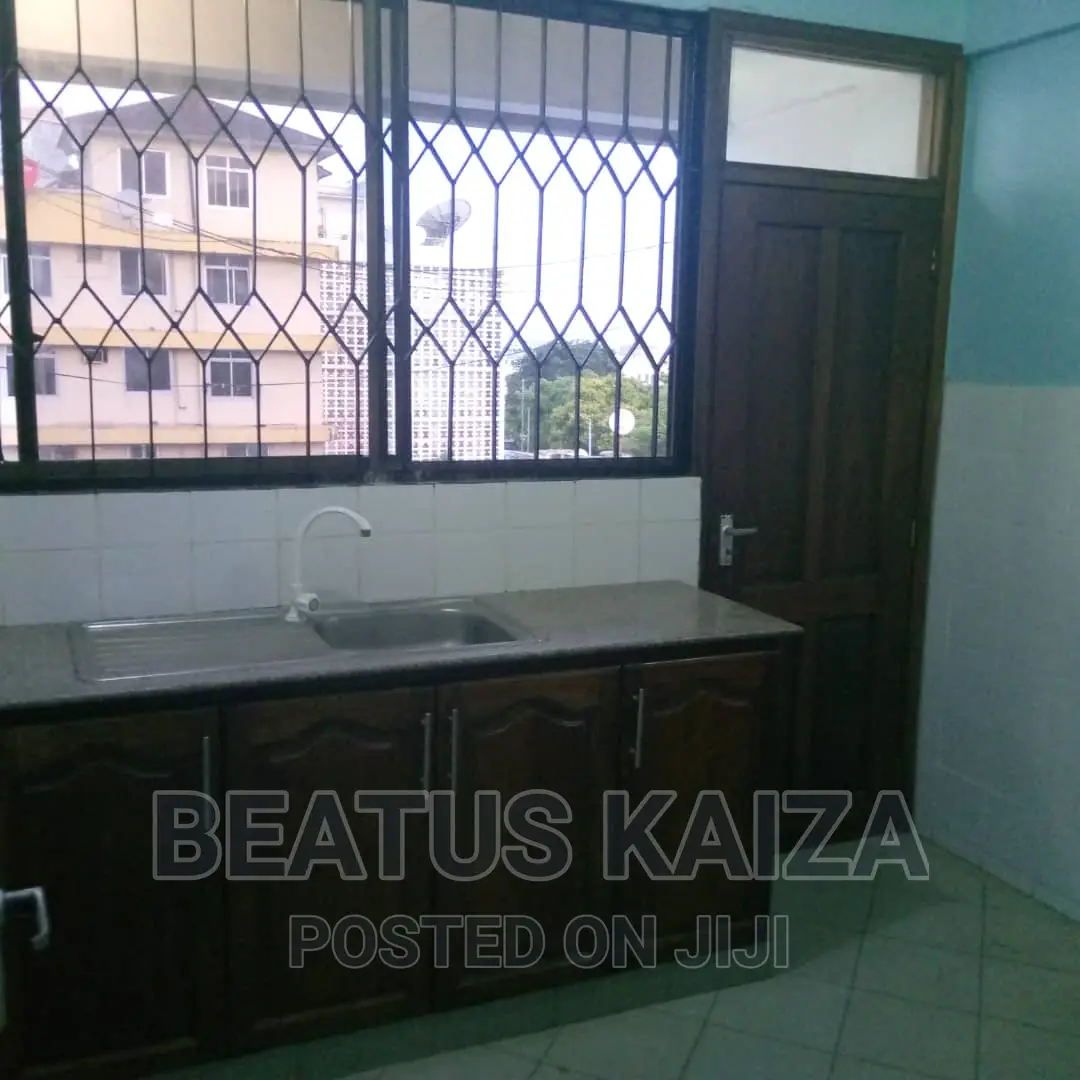2bdrm Block of Flats in Kariakoo Gerezani for rent