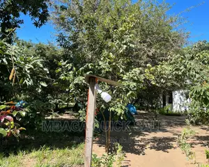 Furnished 5bdrm Bungalow in Mbaga Estate, Mwaseni for sale