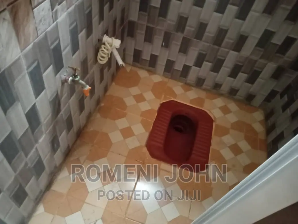 2bdrm Apartment in Tanzania Dsm Ukonga, Ilala for rent