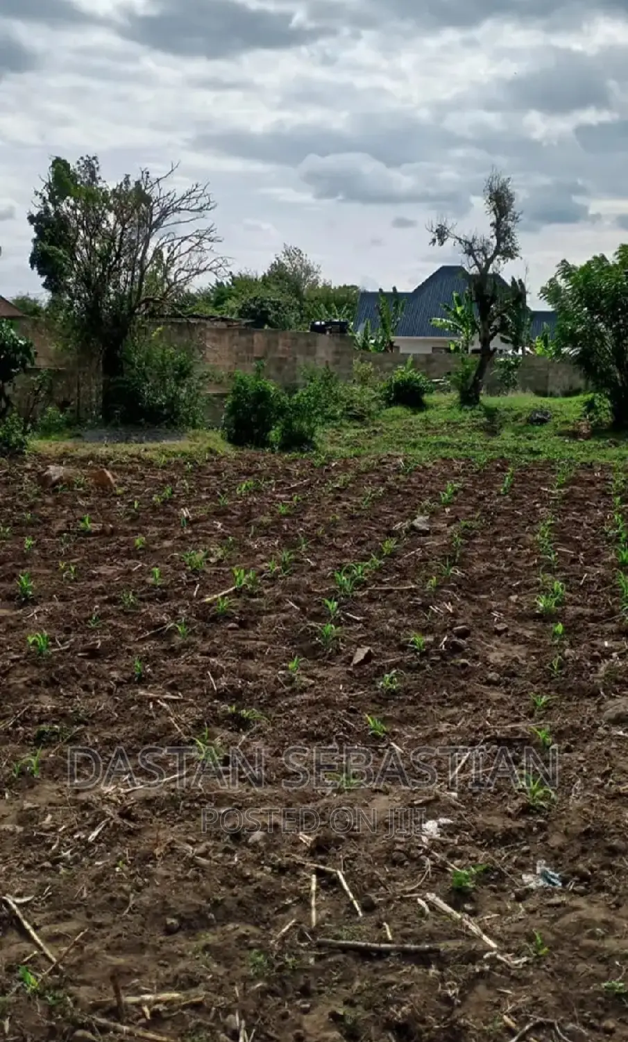 Viwanja Arusha Na Kilimanjaroo