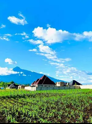 Plot for Sale Arusha and Kilimanjaro