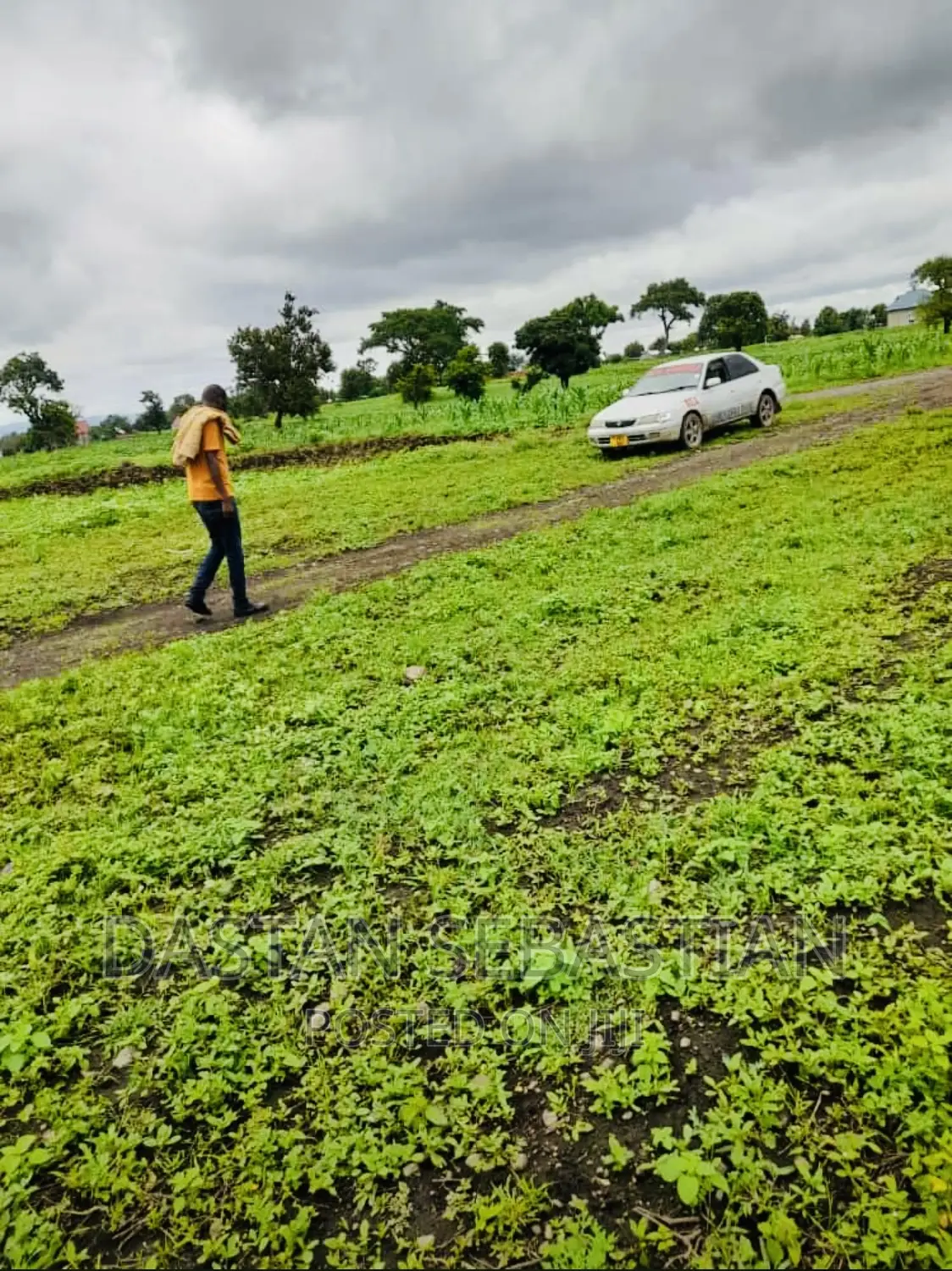 Plot for Sale Arusha and Kilimanjaro