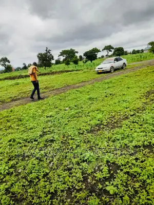 Plot for Sale Arusha and Kilimanjaro