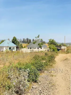 Farms and Land for Sale Arusha and Kilimanjaro