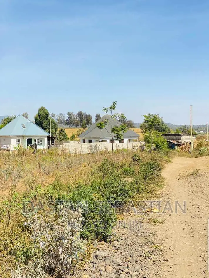 Farms and Land for Sale Arusha and Kilimanjaro