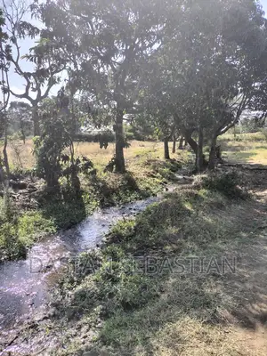 Farms and Land for Sale Arusha and Kilimanjaro