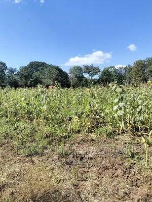 Farms and Land for Sale Arusha and Kilimanjaro
