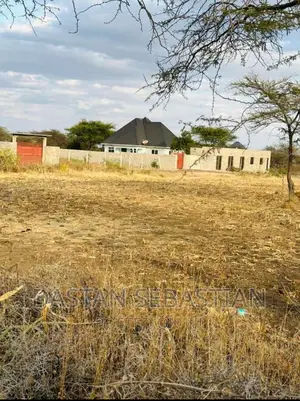 Viwanja Arusha Na Kilimanjaroo