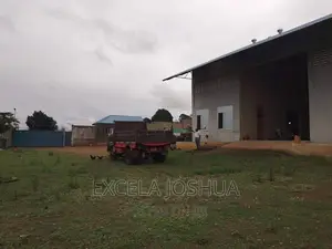 Yard Ina Godown Inauzwa Na Bank Mkata Tanga