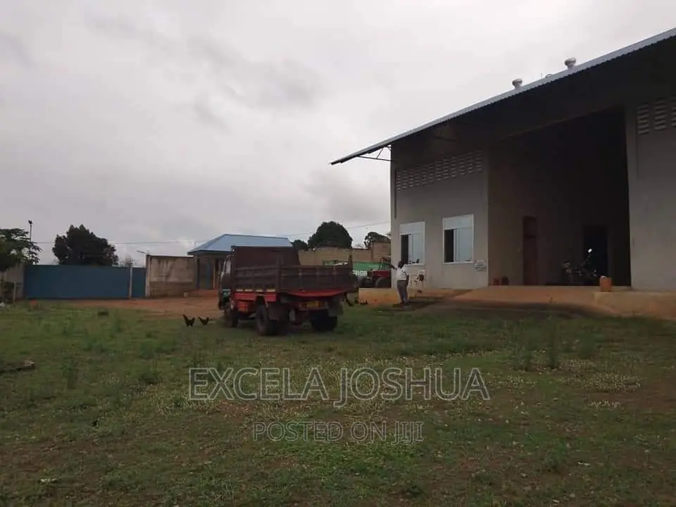 Yard Ina Godown Inauzwa Na Bank Mkata Tanga