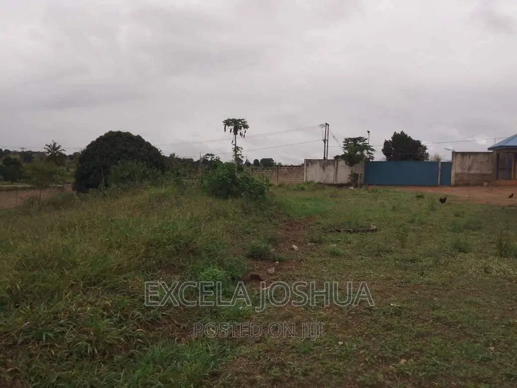 Yard Ina Godown Inauzwa Na Bank Mkata Tanga