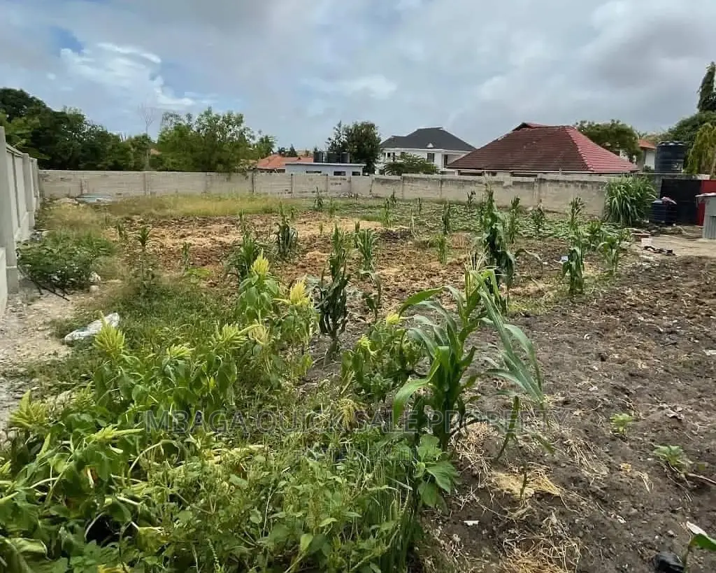 Plot for Sale at Mbezi Beach Salasala