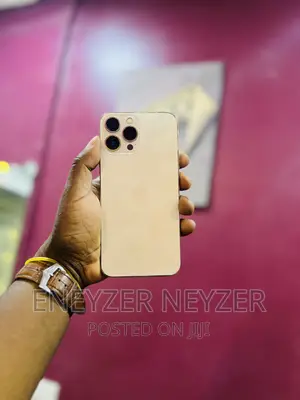 Apple iPhone 13 Pro Max 256 GB Gold