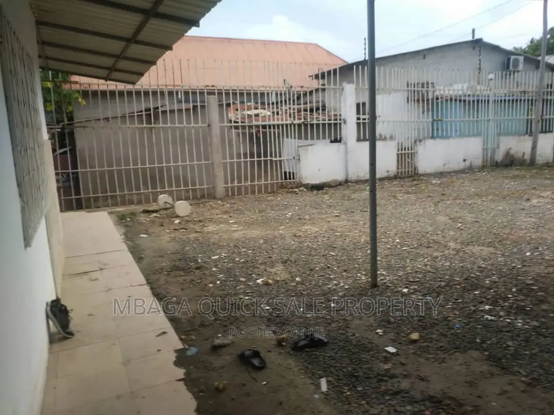 Yard Room for Rent