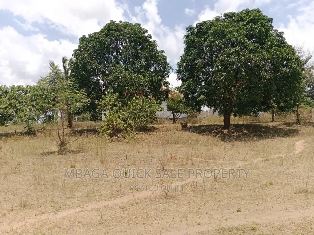 Plot for Sale