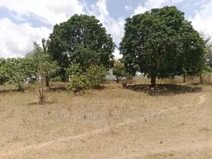 Plot for Sale