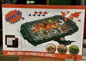 Electric Barbecue Grill