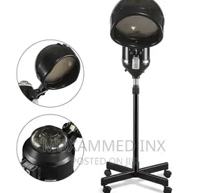 Hair Steamer