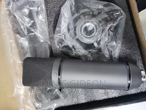 U87 P Microphone Condesor
