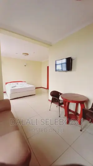 Furnished Mini Flat in Sinza Madukani for rent