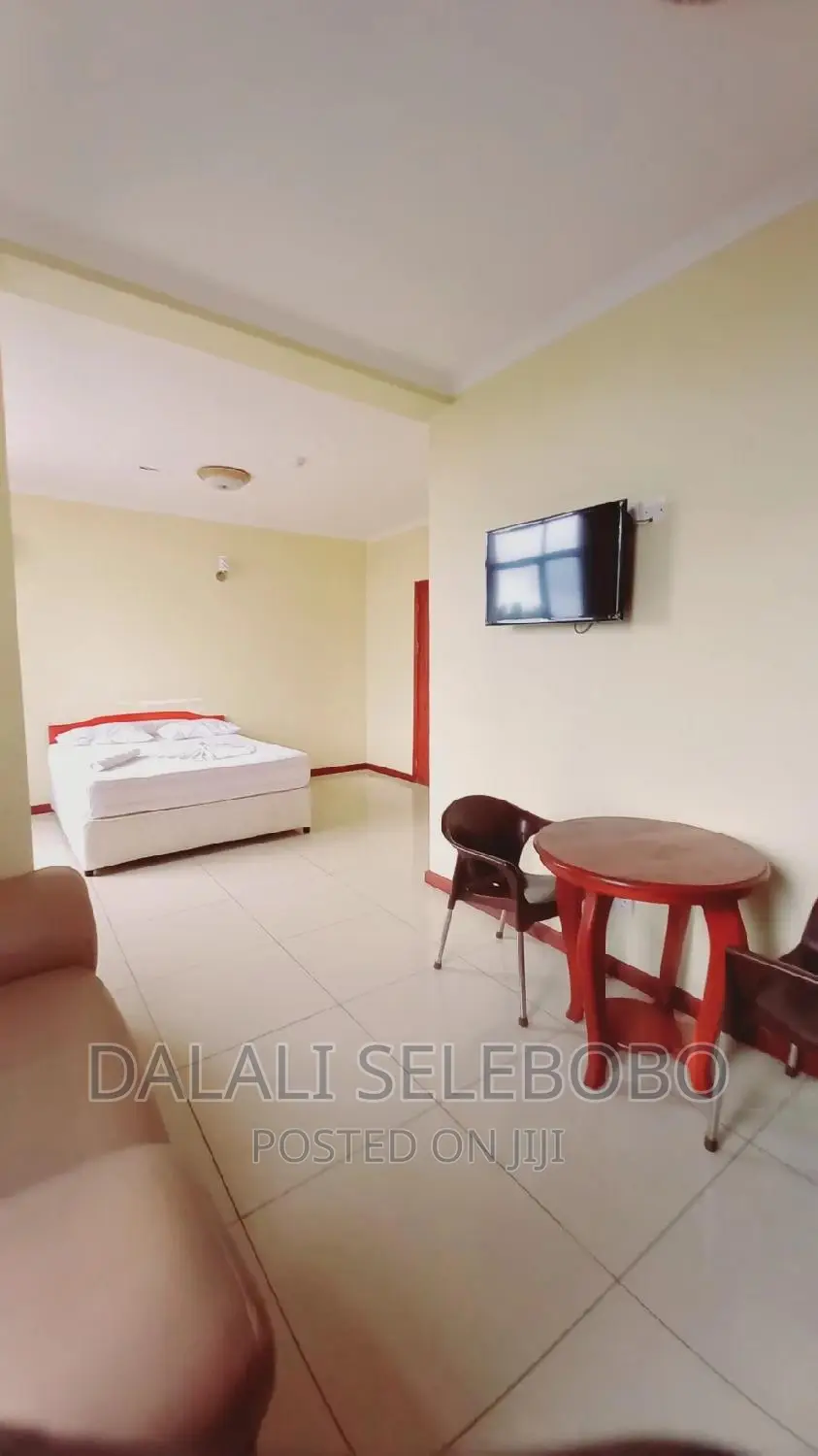 Furnished Mini Flat in Sinza Madukani for rent
