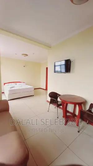 Furnished Mini Flat in Sinza Madukani for rent