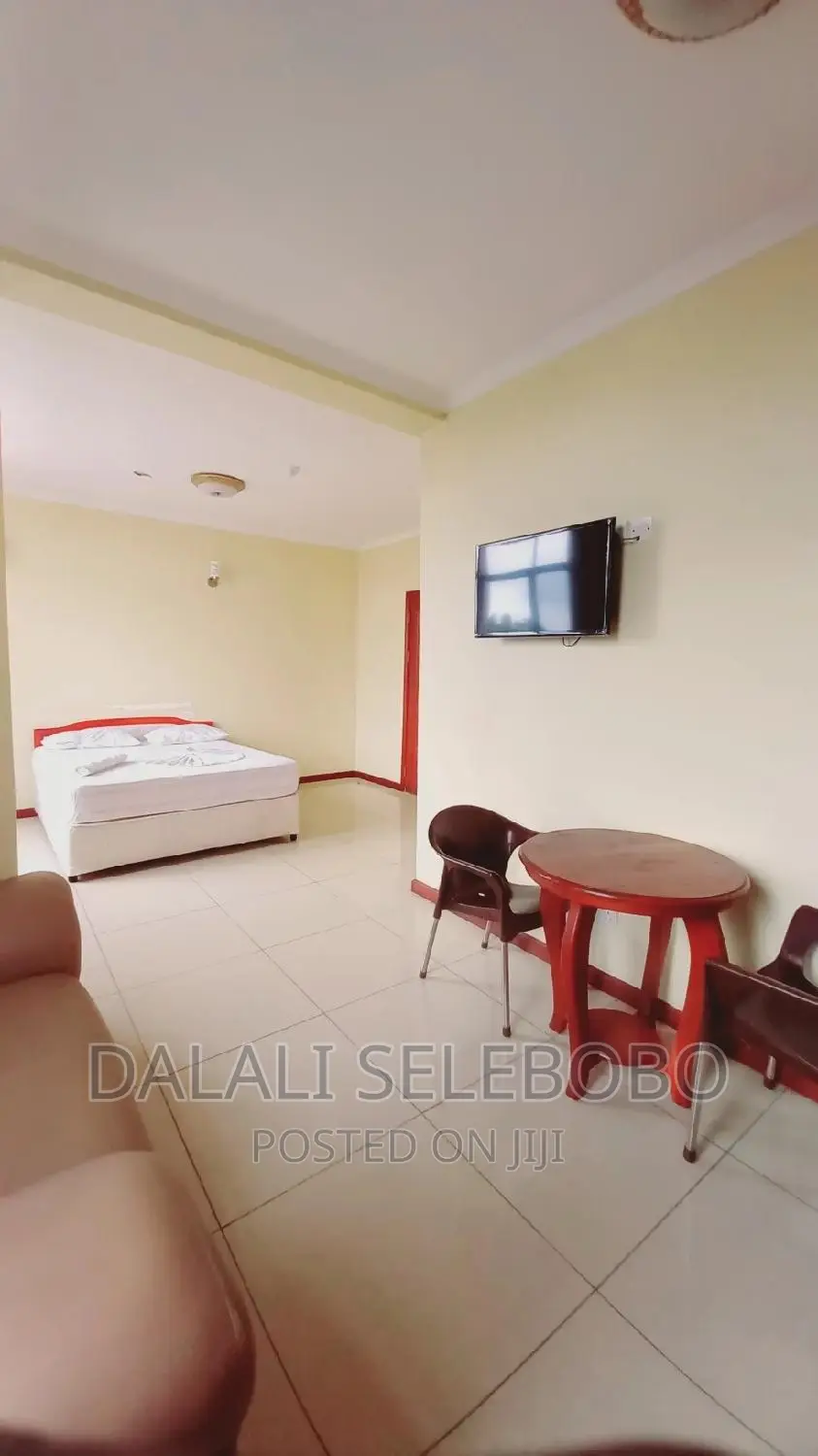 Furnished Mini Flat in Sinza Madukani for rent