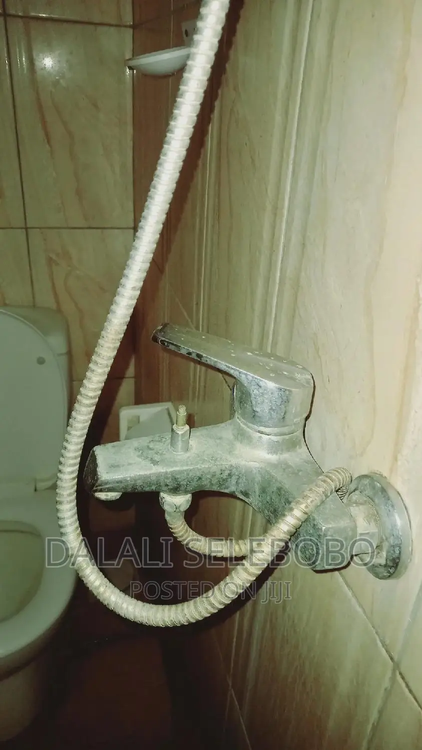 Furnished Mini Flat in Sinza Madukani for rent