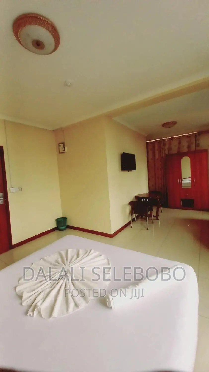 Furnished Mini Flat in Sinza Madukani for rent
