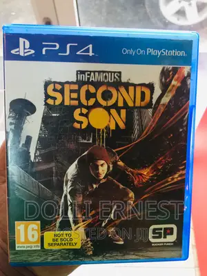 Infamous Second Son