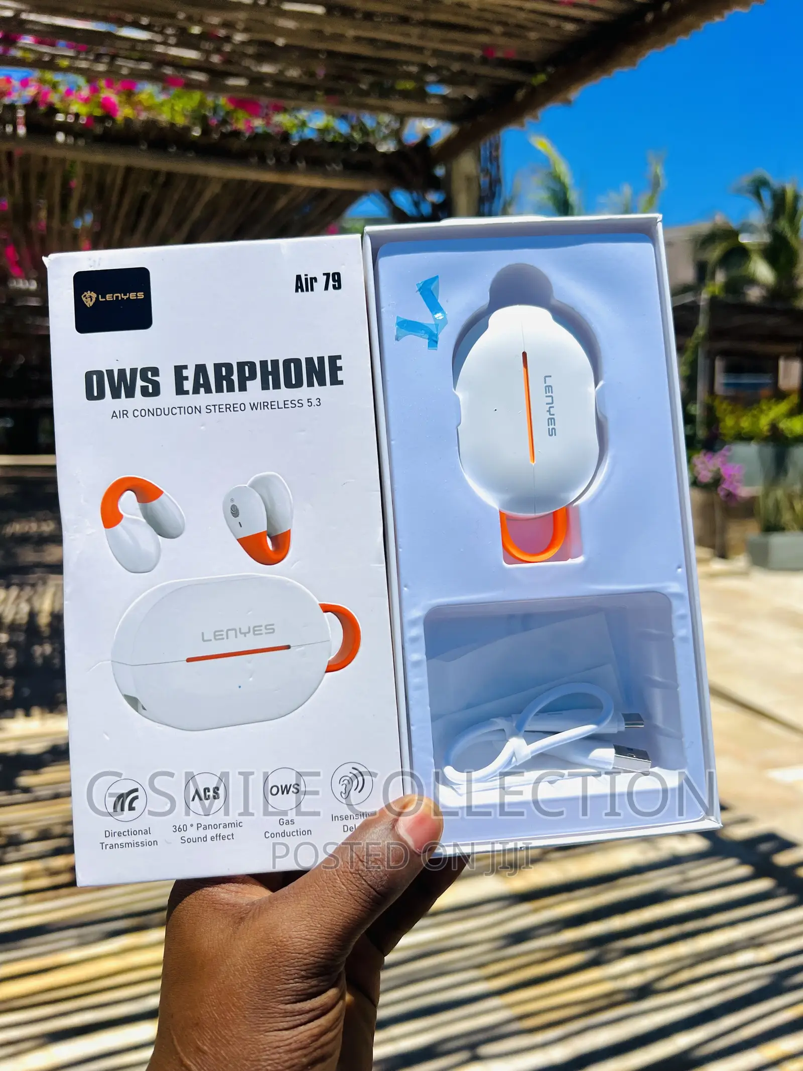 Lenyes Air79 Earhook Earbuds