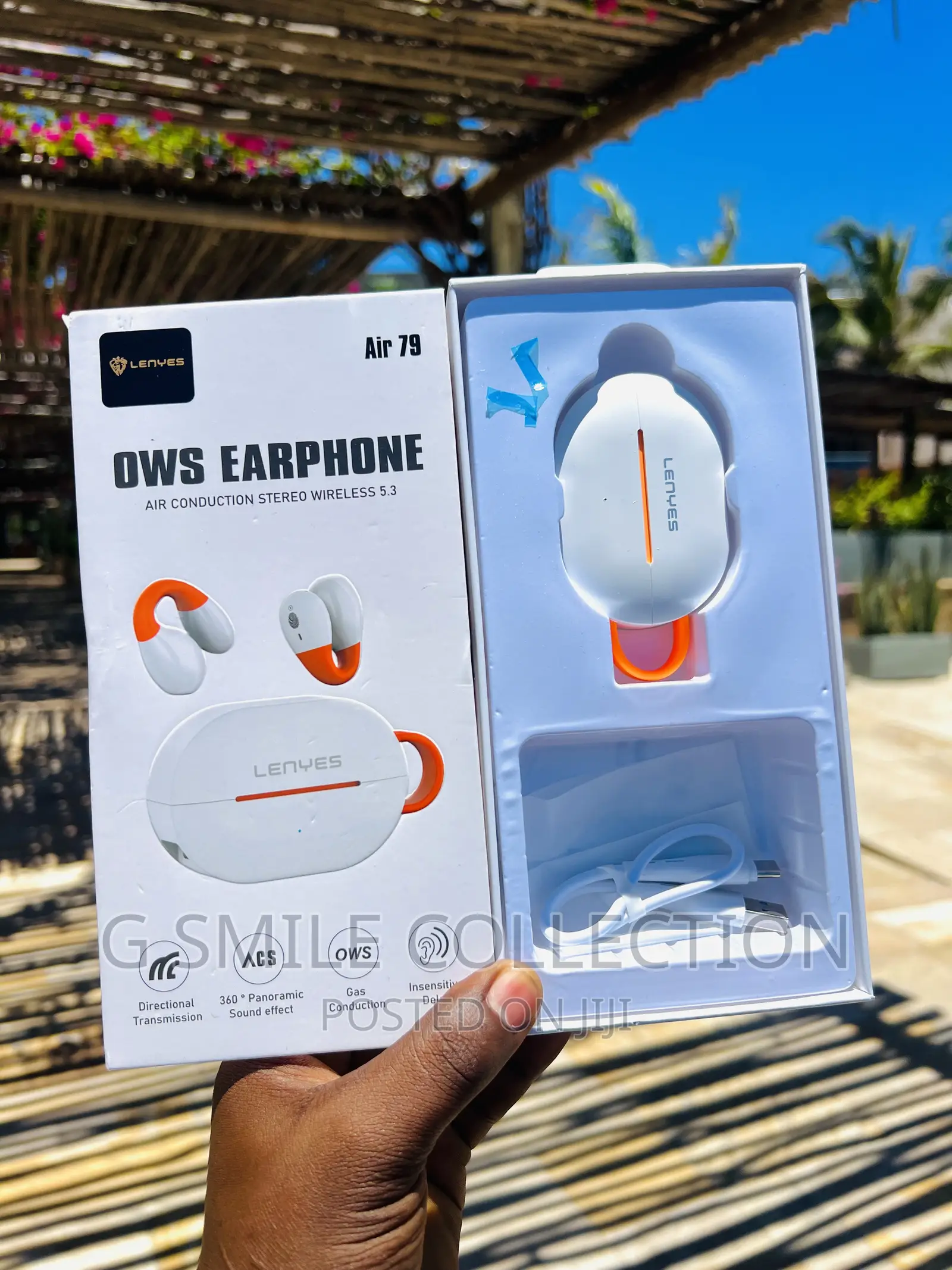 Lenyes Air79 Earhook Earbuds
