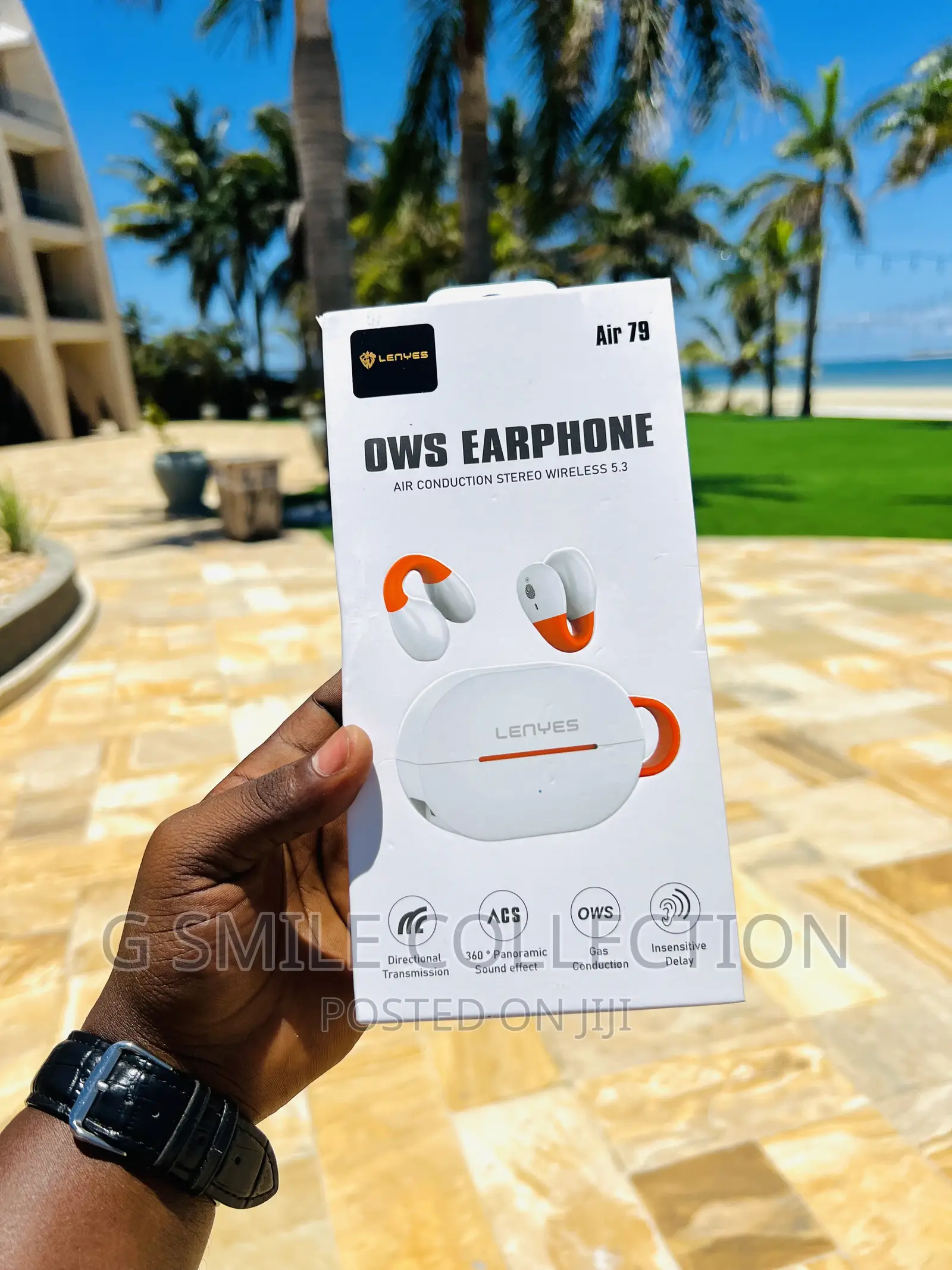 Lenyes Air79 Earhook Earbuds