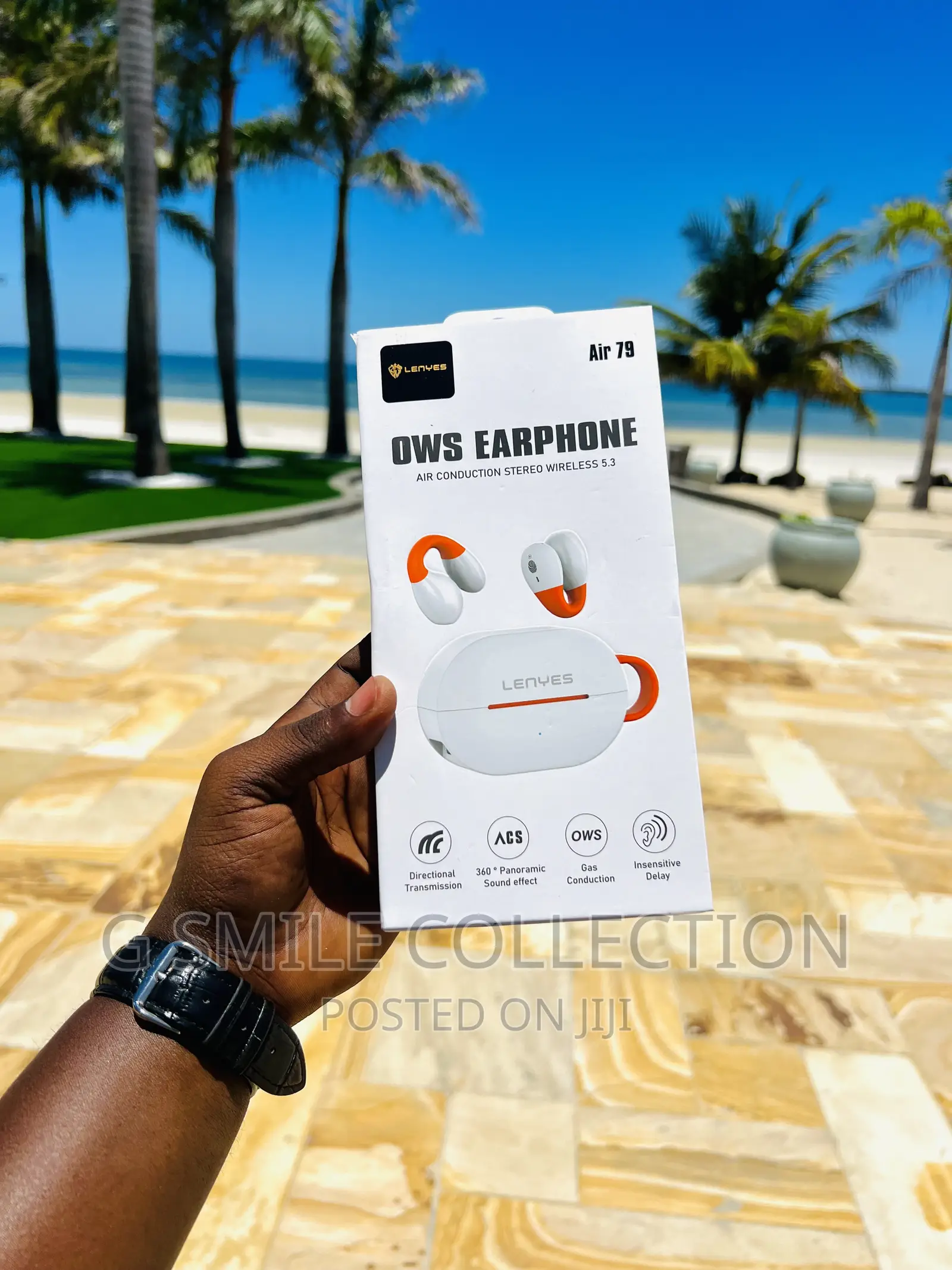 Lenyes Air79 Earhook Earbuds