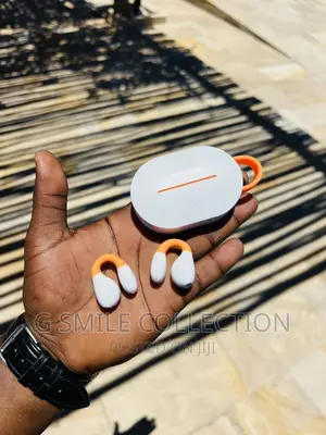 Lenyes Air79 Earhook Earbuds