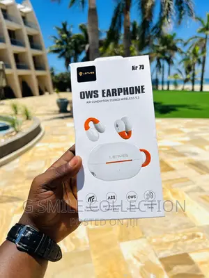 Lenyes Air79 Earhook Earbuds
