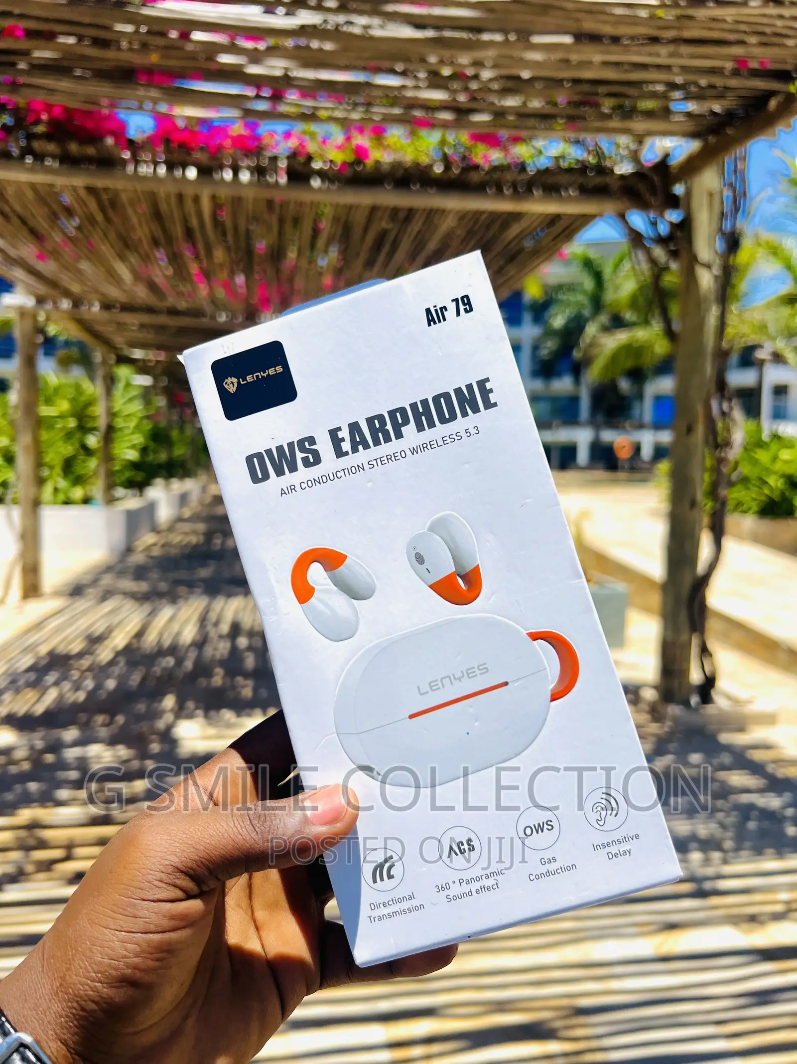 Lenyes Air79 Earhook Earbuds