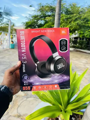 JBL Headphones With Detachable Microphone