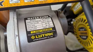 Lutian Water Pump
