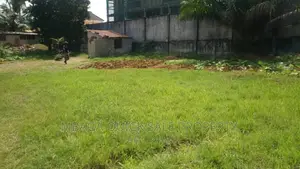 10bdrm Farm House in Mbezi Beach for rent