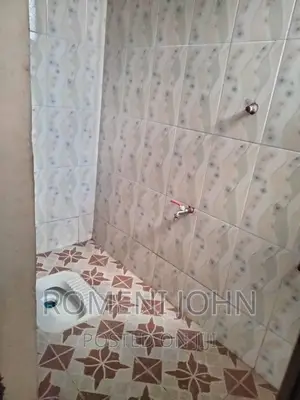 2bdrm Apartment in Tanzania Dsm Ukonga, Ilala for rent