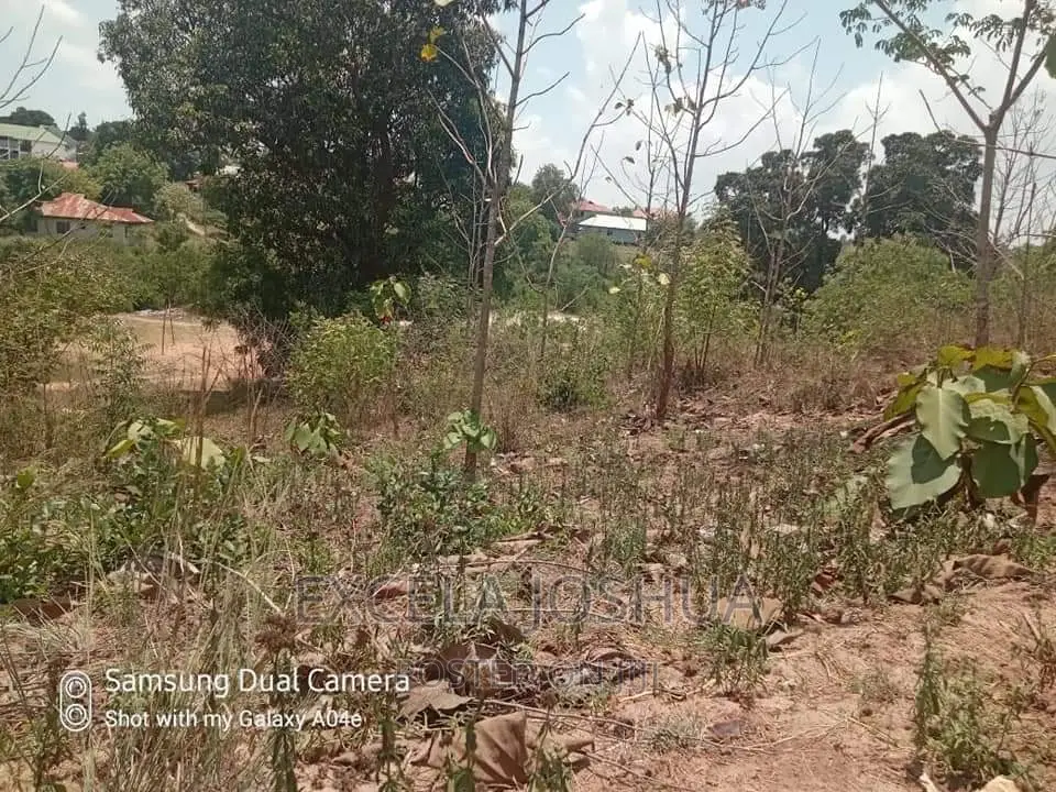 Viwanja Vitatu Viko Sehemu Moja Vinauzwa Kinyerezi Mbuyuni