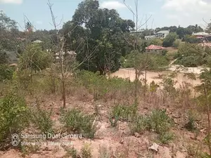 Viwanja Vitatu Viko Sehemu Moja Vinauzwa Kinyerezi Mbuyuni
